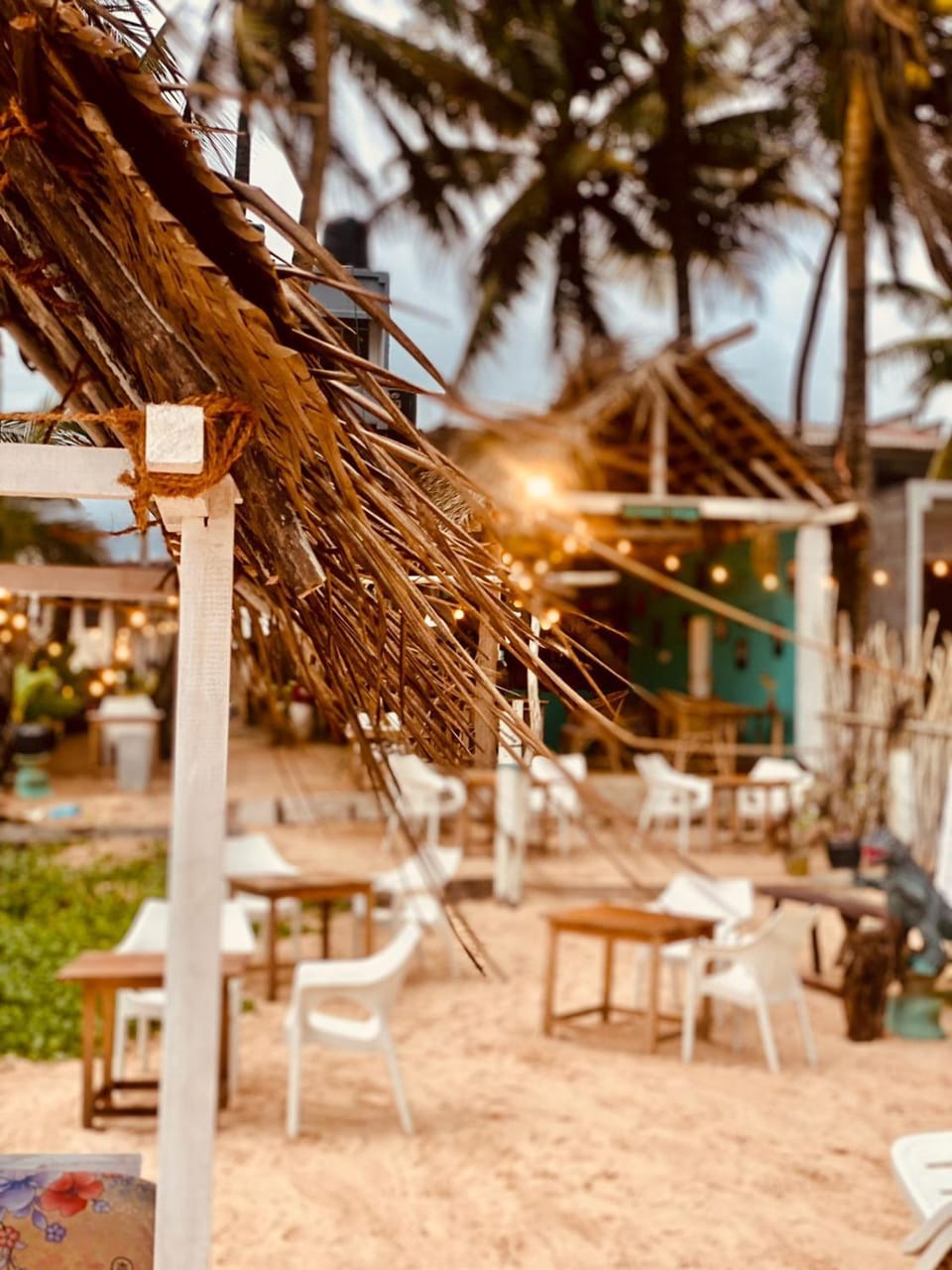 Patio, Day, sunbed