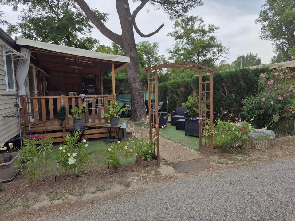 Patio, Garden view