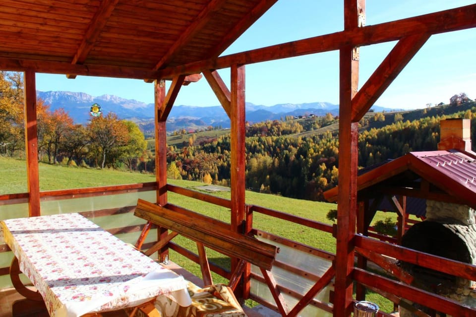 Garofita Pietrei Craiului Bed and Breakfast in Brașov County
