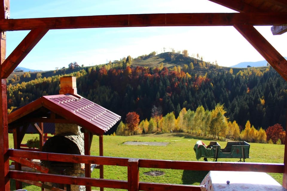 Garofita Pietrei Craiului Bed and Breakfast in Brașov County