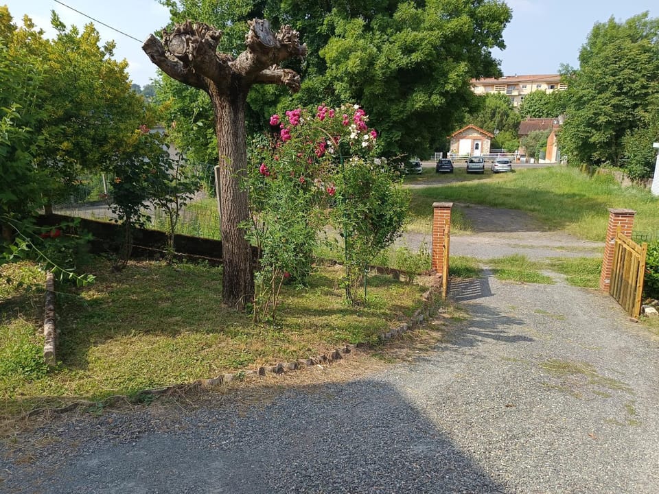 Neighbourhood, Garden, View (from property/room), Garden view