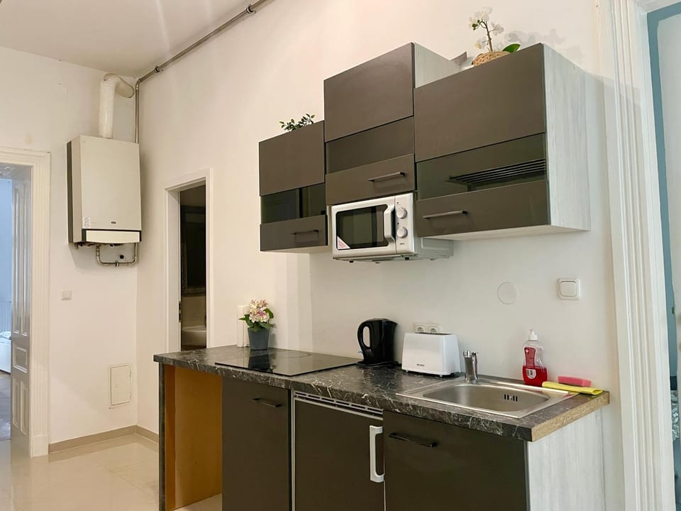 Cosy Apartment with Terrace & Free Parking Apartment in Vienna