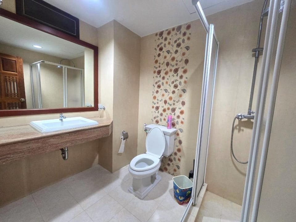 Shower, Toilet, Bathroom, bidet