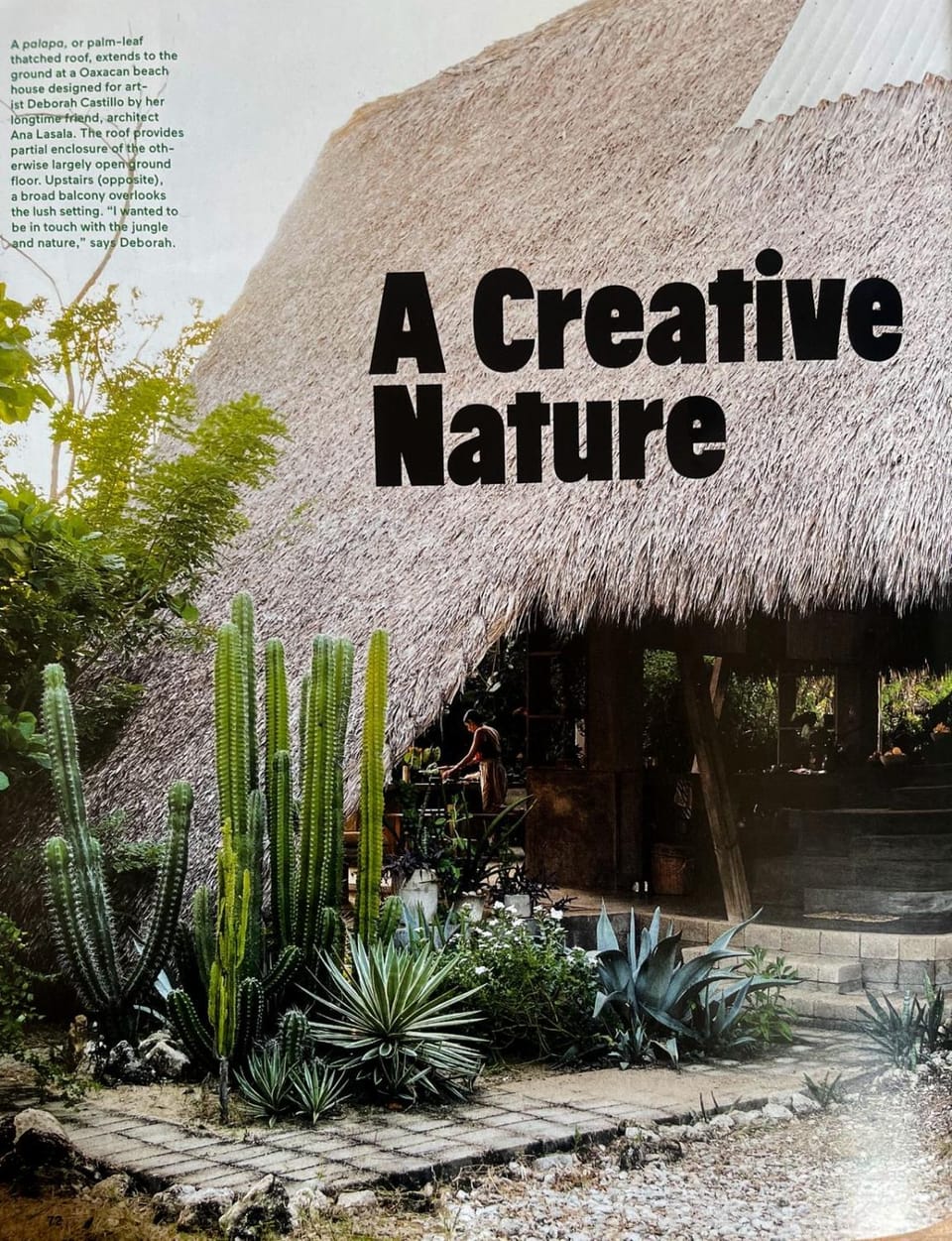 cabaña a pasos del mar en la costa House in Brisas de Zicatela