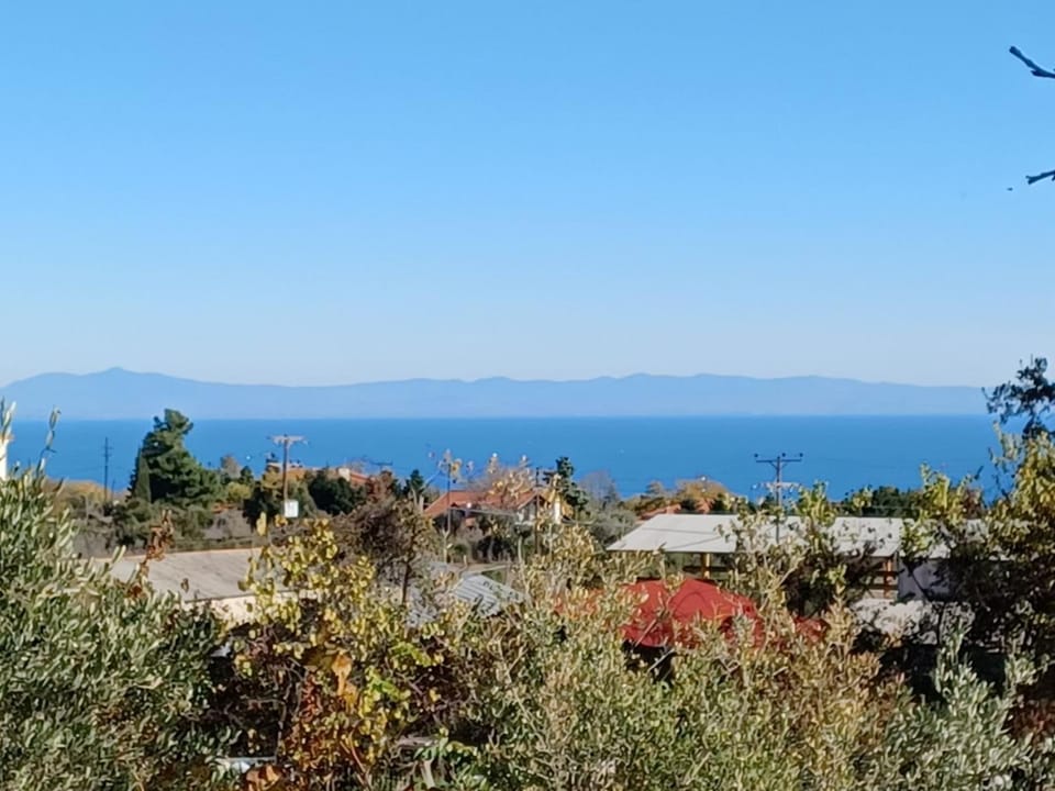 Zeusplace Staliki cottage house House in Litochoro