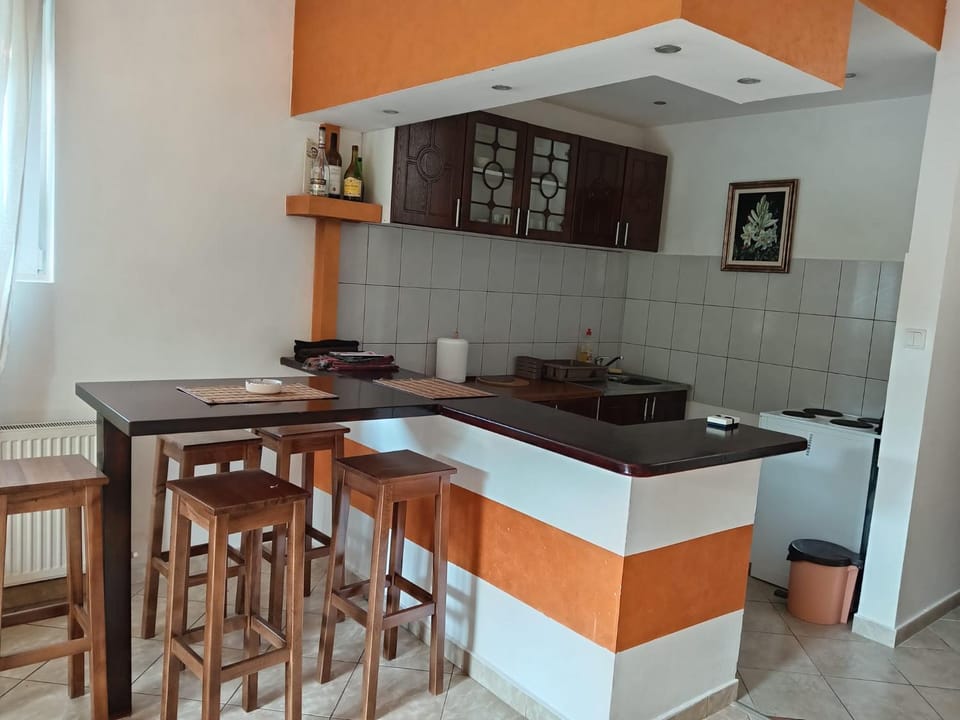 Apartman Ilić Apartment in Serbia