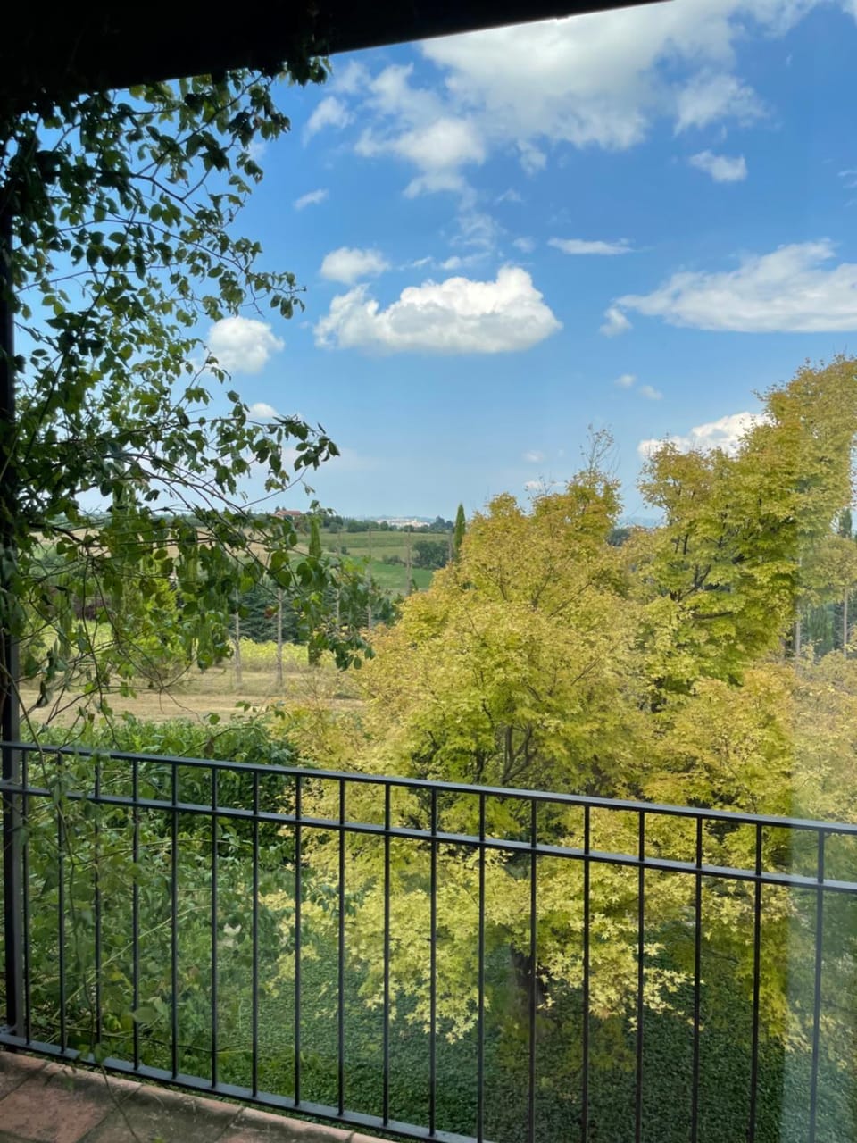 View (from property/room)