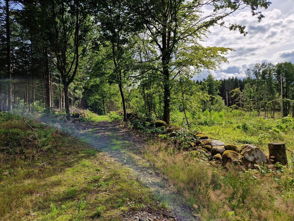 Natural landscape, View (from property/room)