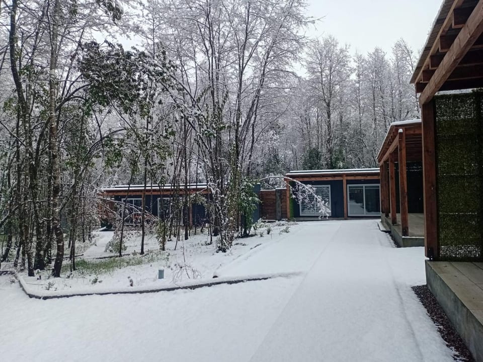 Boker Tov Pucón House in Pucon