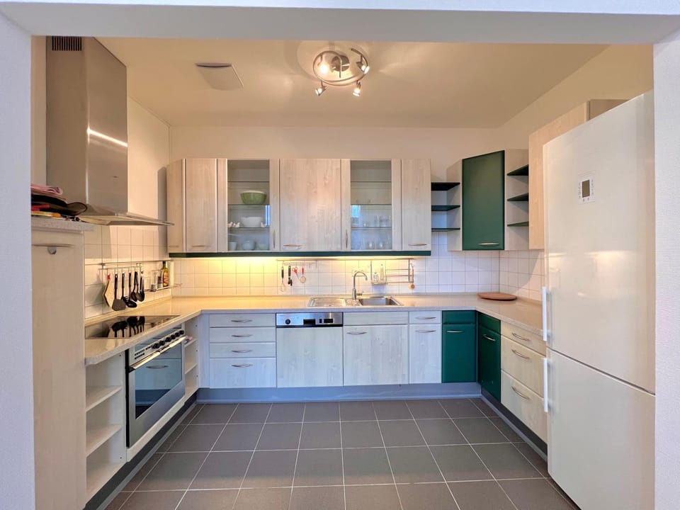 Kitchen or kitchenette, dishwasher, oven, stove