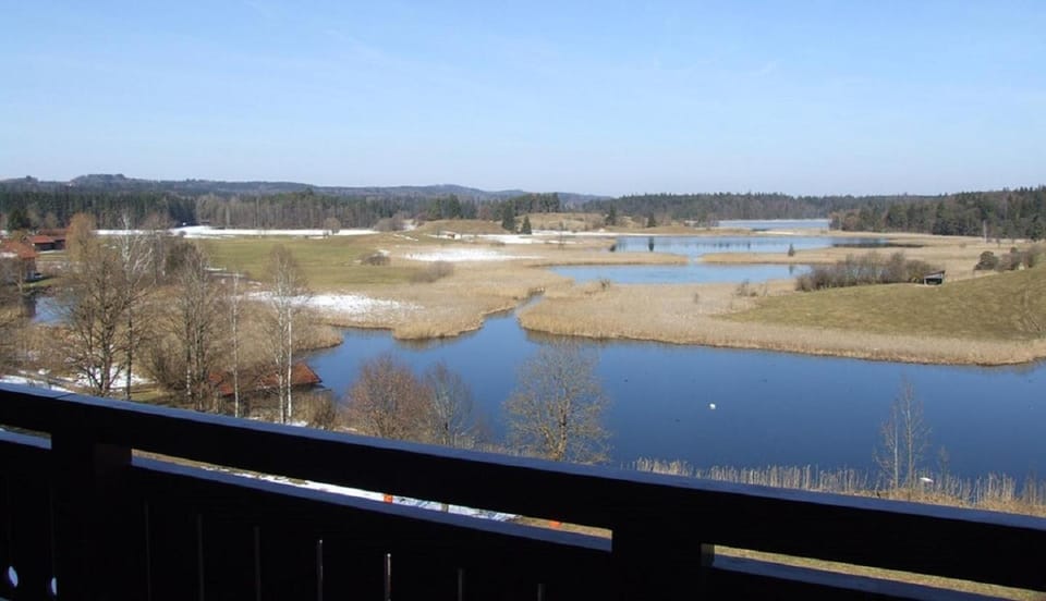 Lake view