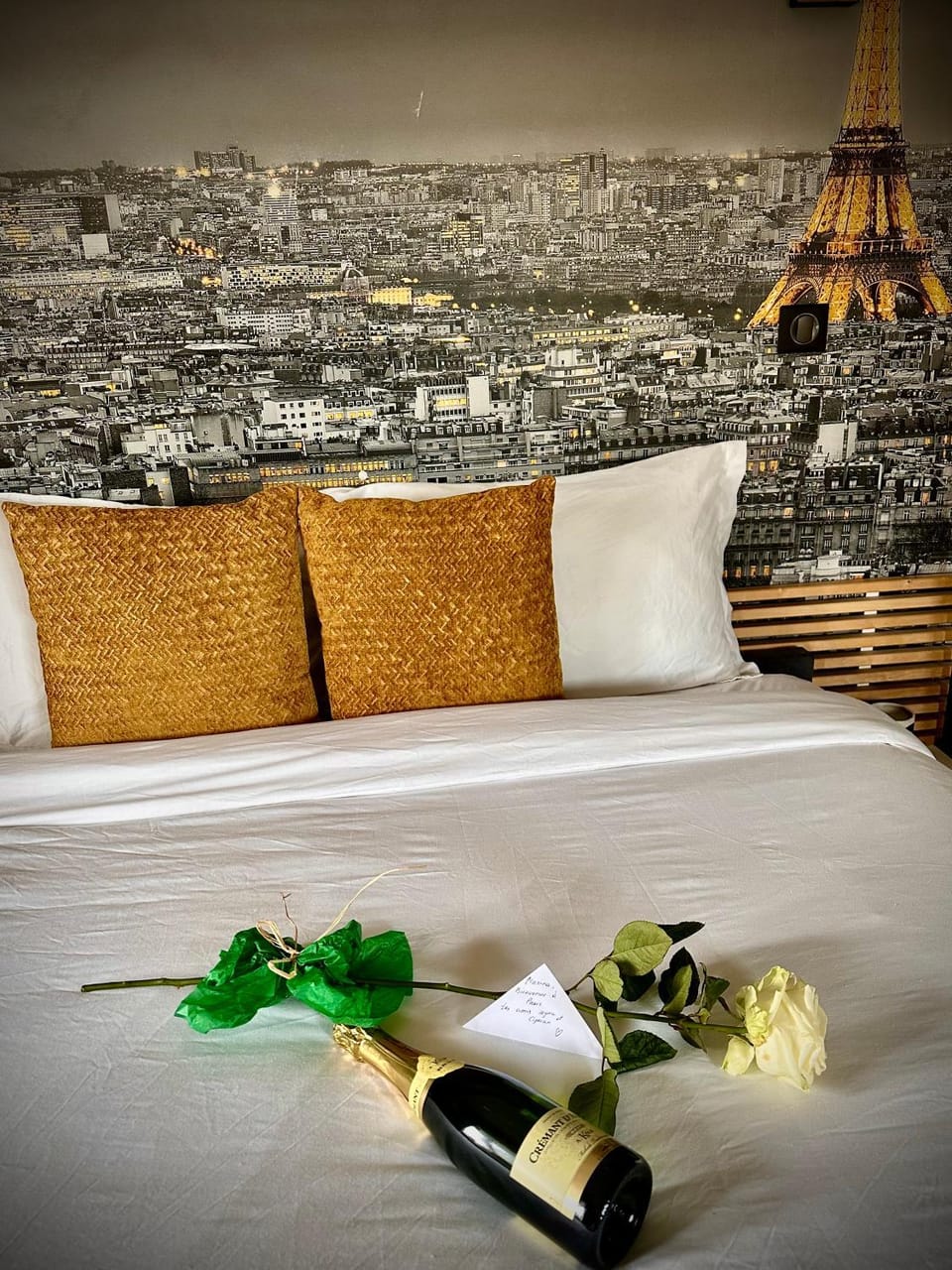 Appartement proche PARIS Apartment in Issy-les-Moulineaux
