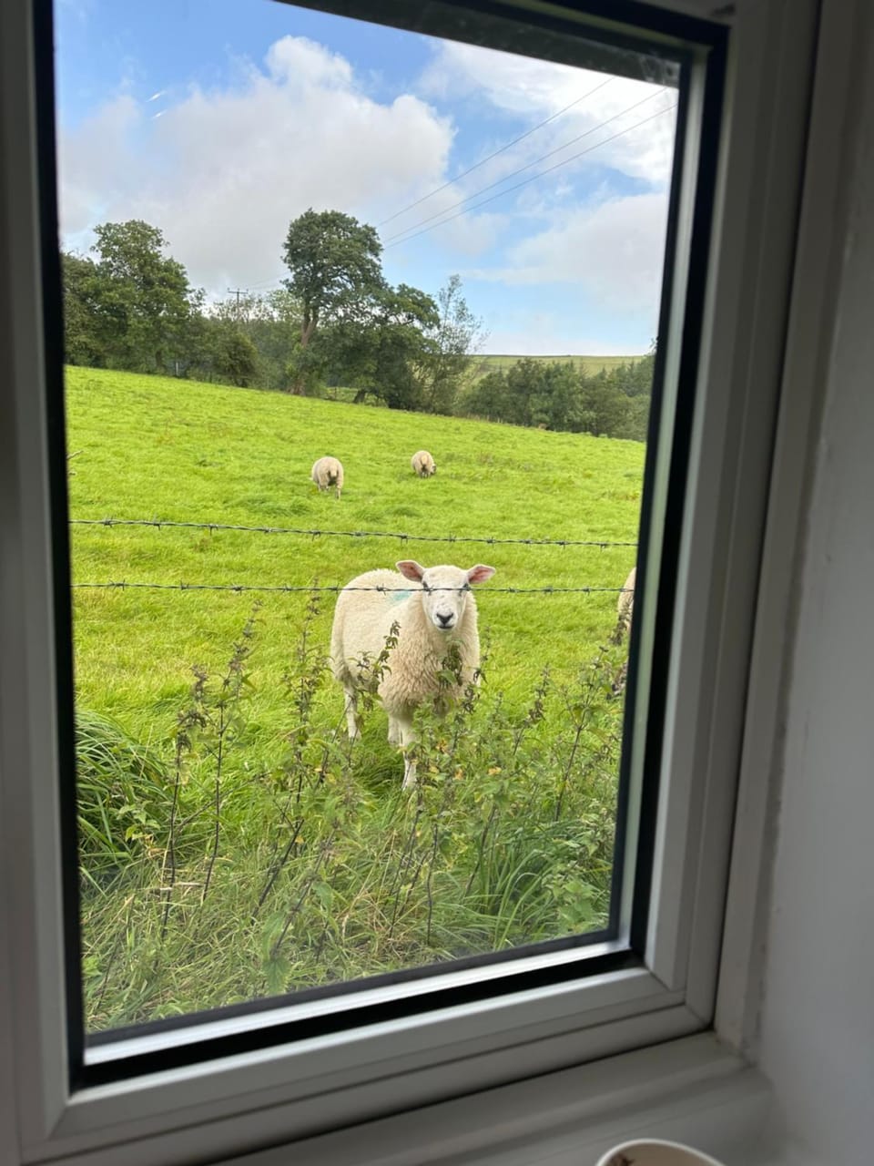 View (from property/room)