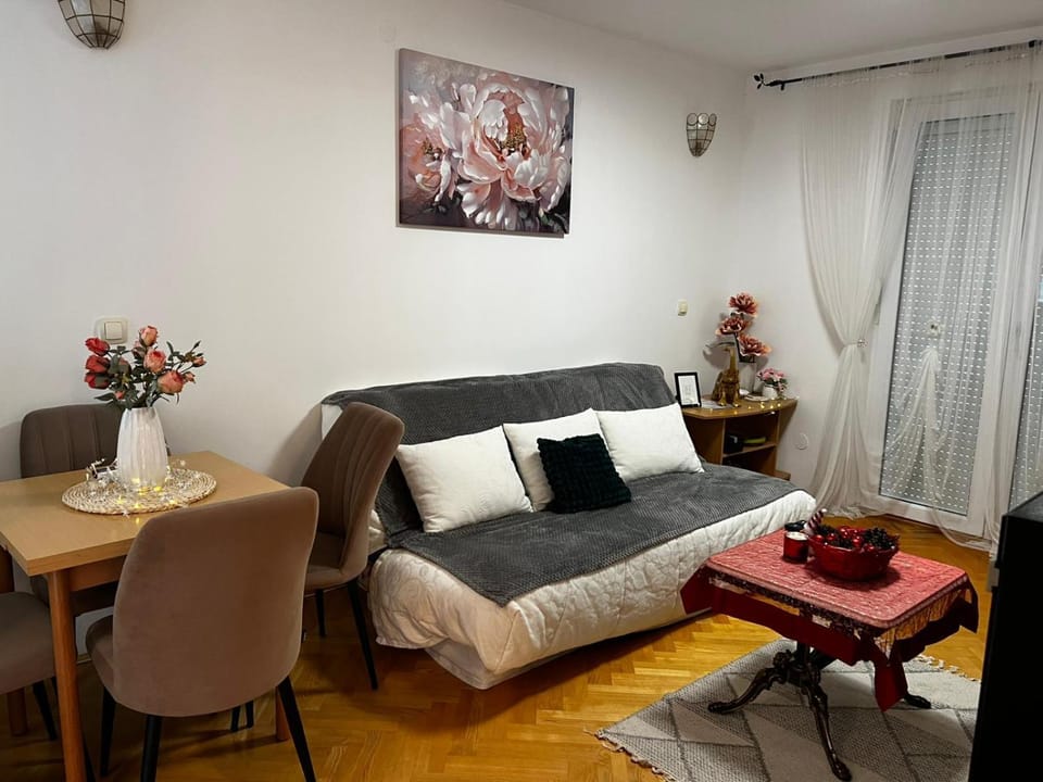 Asami Apartment in Serbia