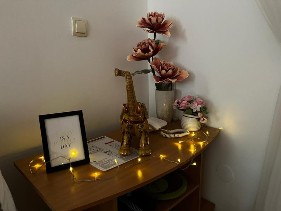 Asami Apartment in Serbia