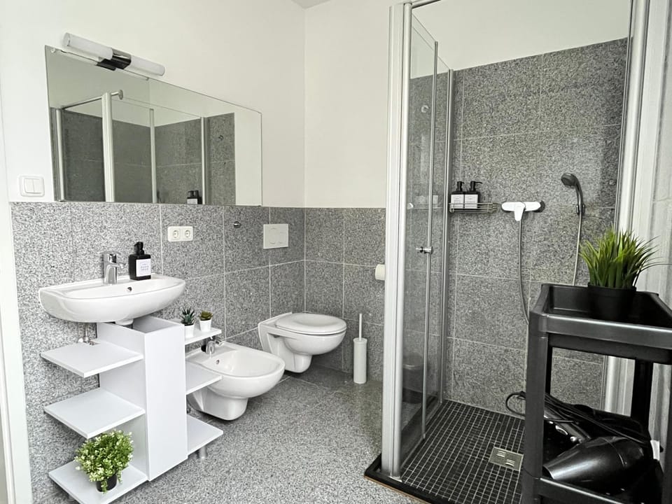 Shower, Toilet, Bathroom, bidet