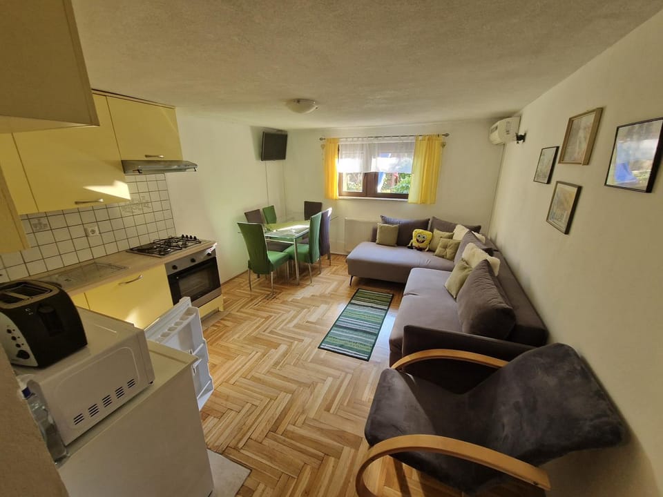 TV and multimedia, Kitchen or kitchenette, Living room, Seating area, minibar, pet friendly, stove
