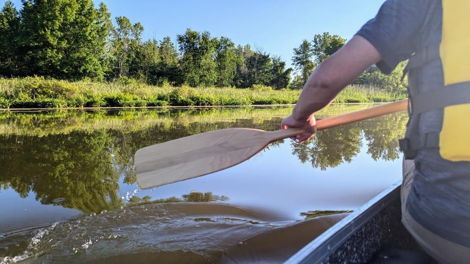 Day, Natural landscape, Activities, Canoeing, Canoeing, River view, Sports