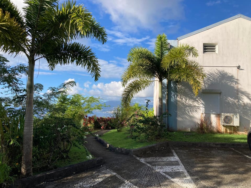Property building, Garden view