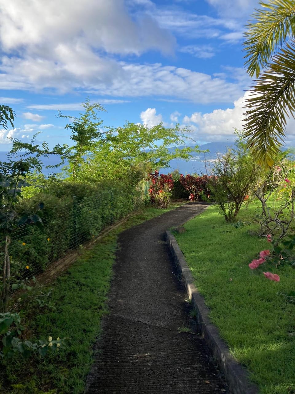 Garden, Garden view