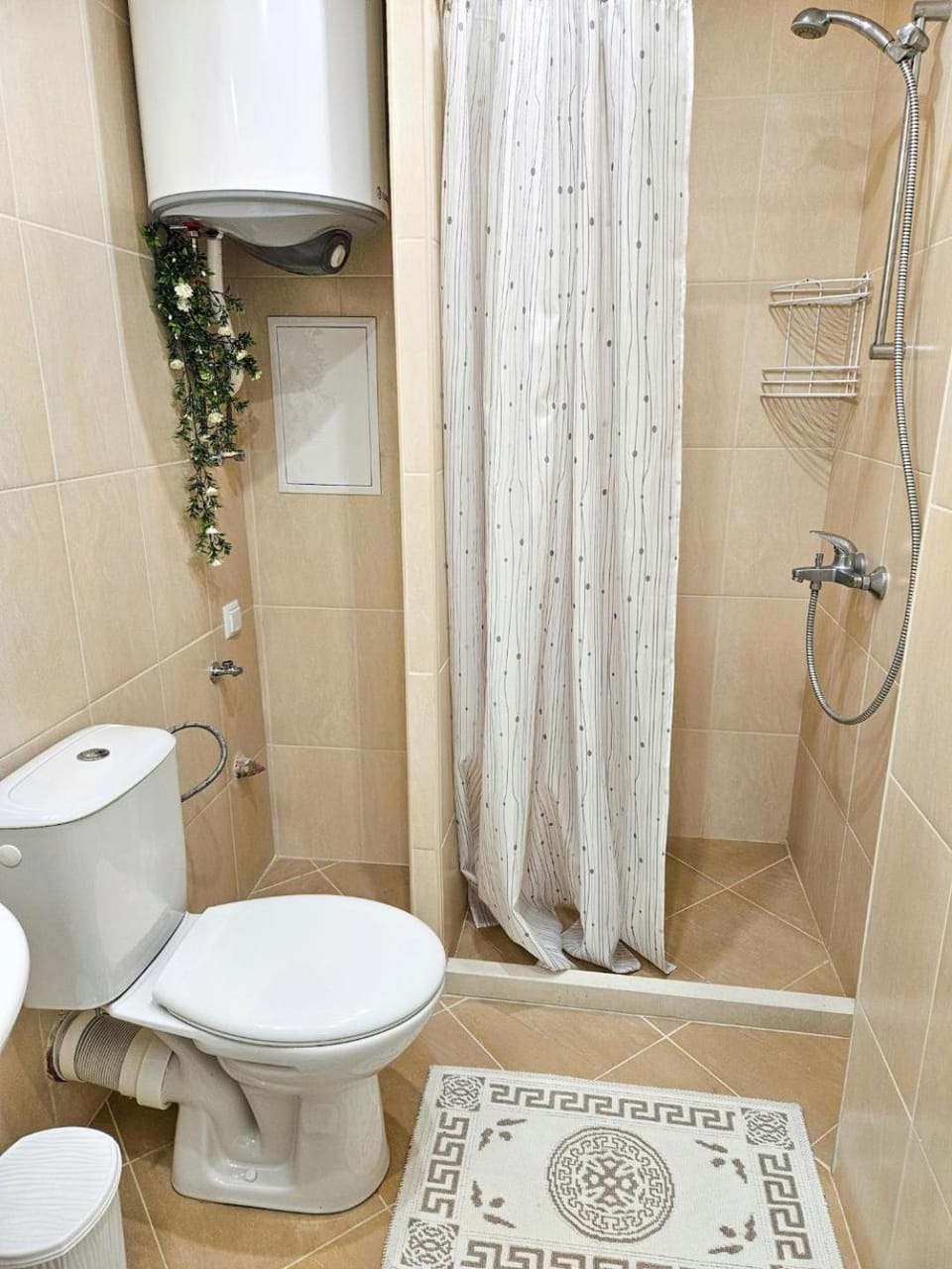 Shower, Toilet