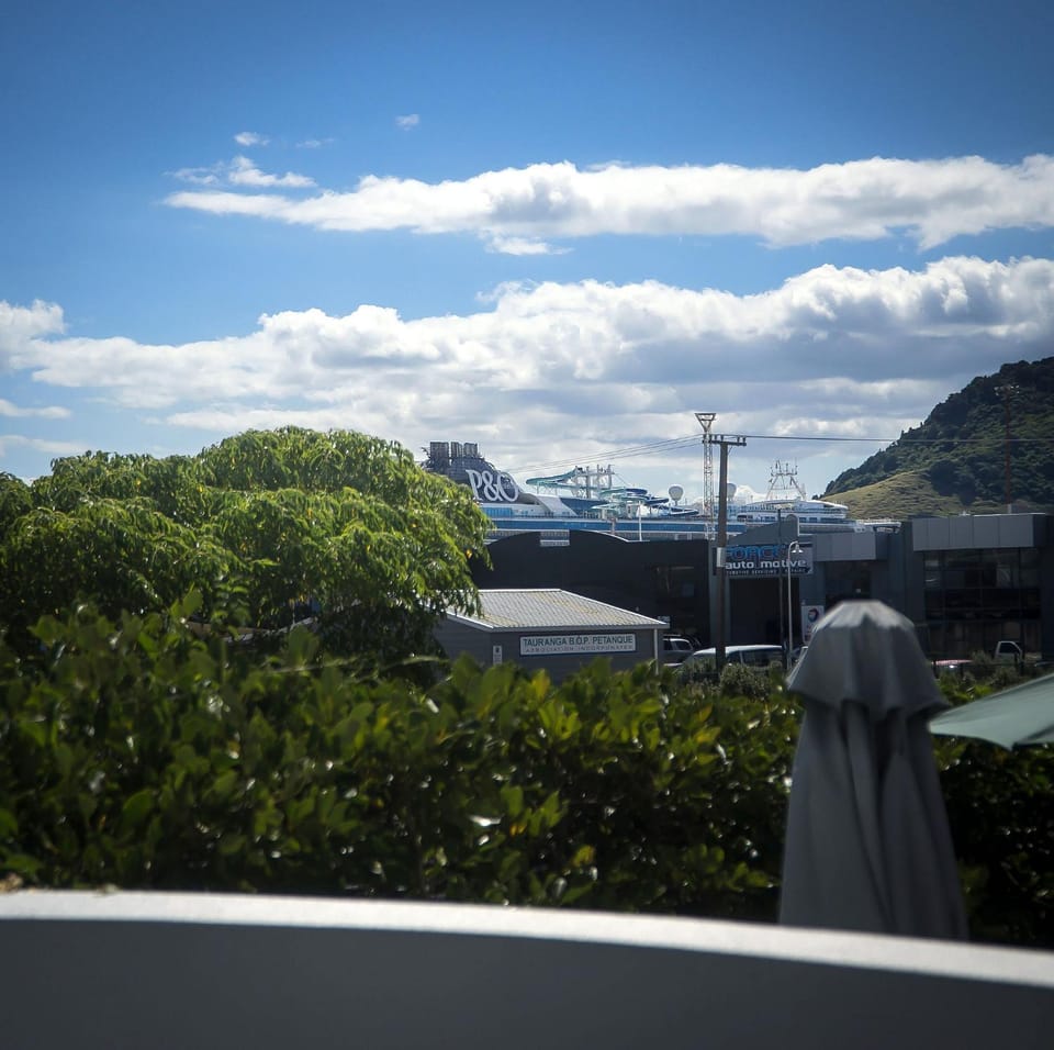 Cosy Apartment in beachside location Bed and Breakfast in Bay Of Plenty