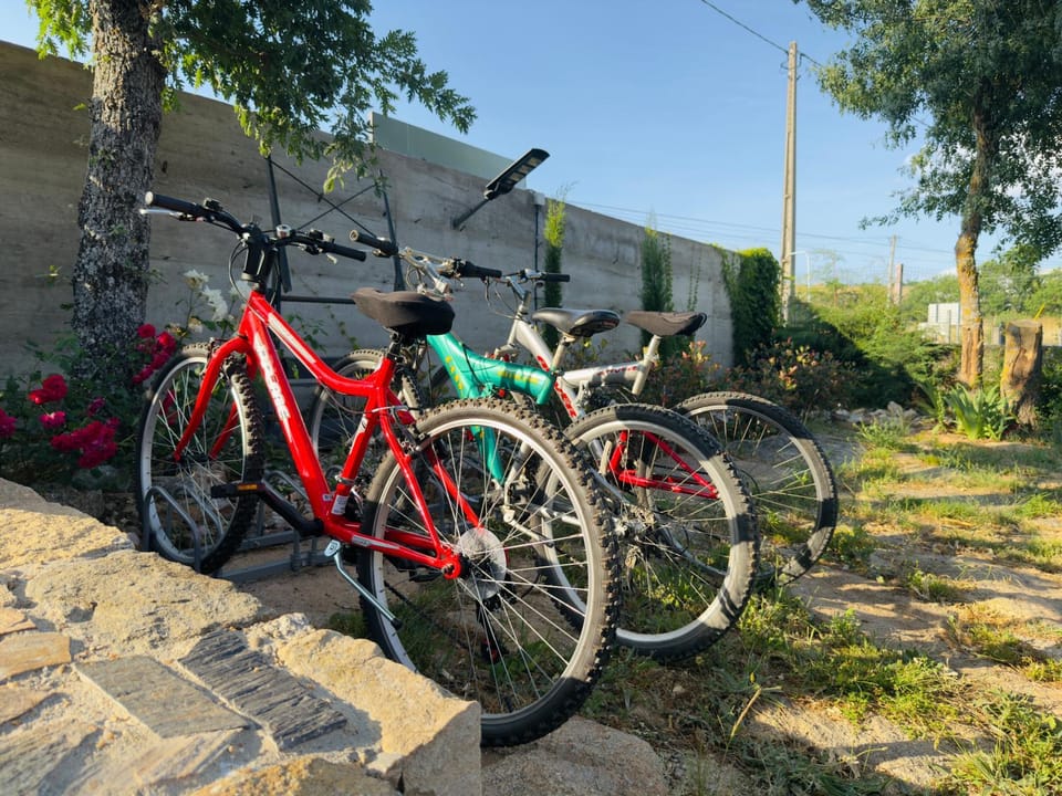 Activities, Cycling