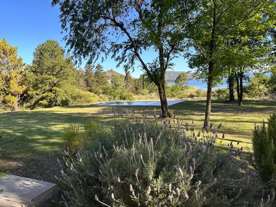 Lake view