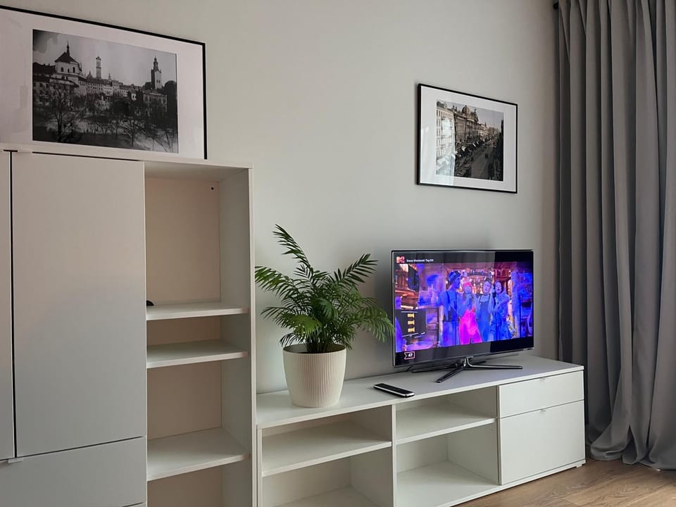 TV and multimedia