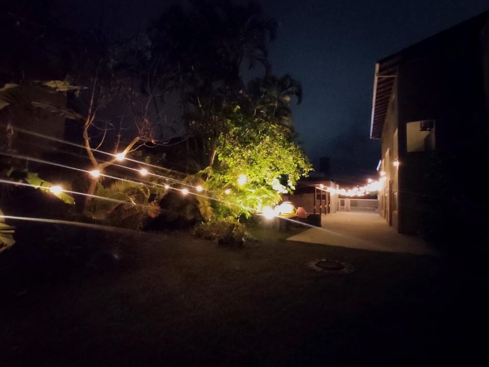Night, Garden, View (from property/room), Garden view