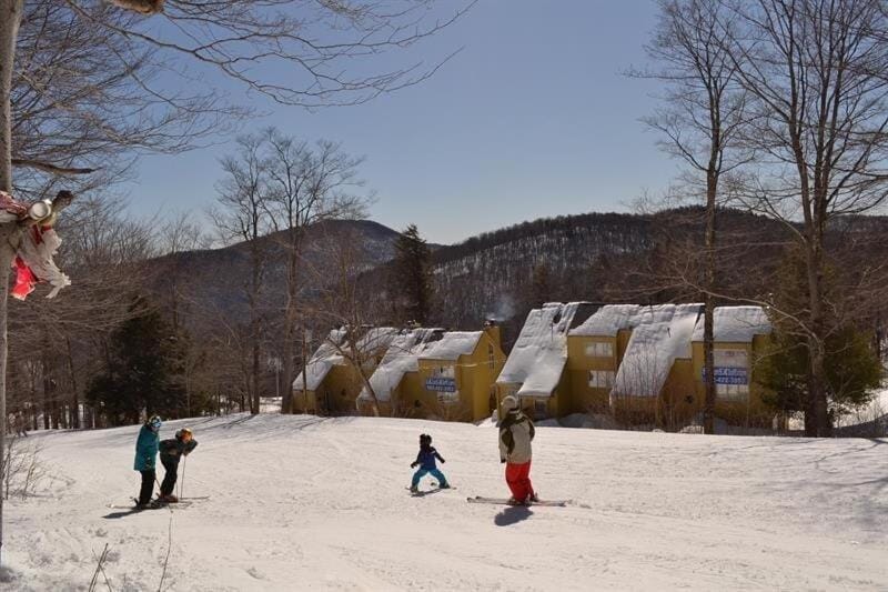 Skiing