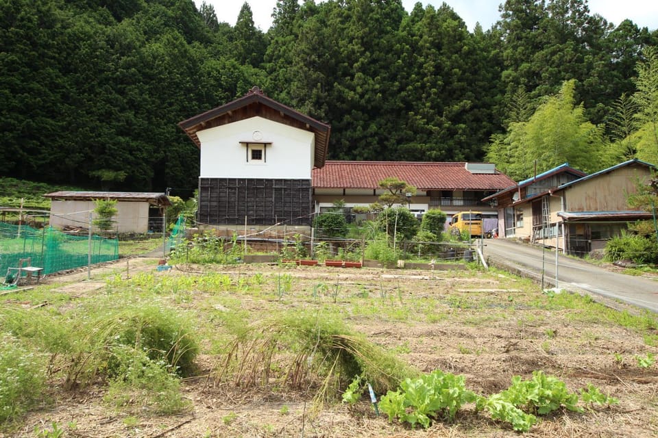 Property building, Garden, Garden, Garden view