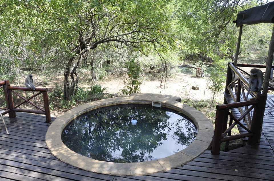 Natural landscape, Garden view, Pool view, Swimming pool