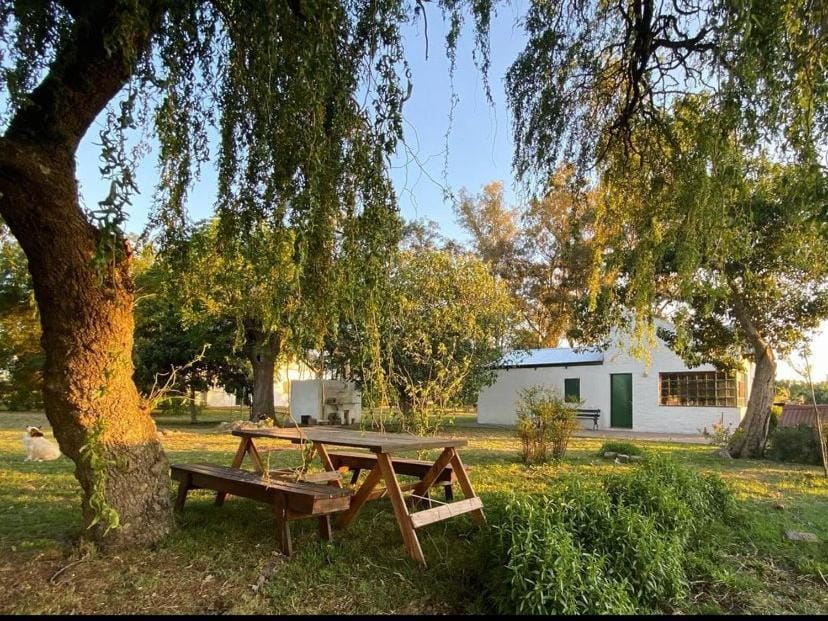 Garden, Dining area