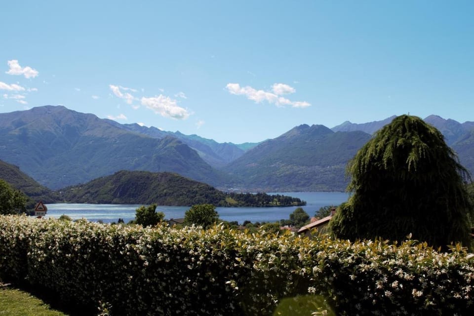 Natural landscape