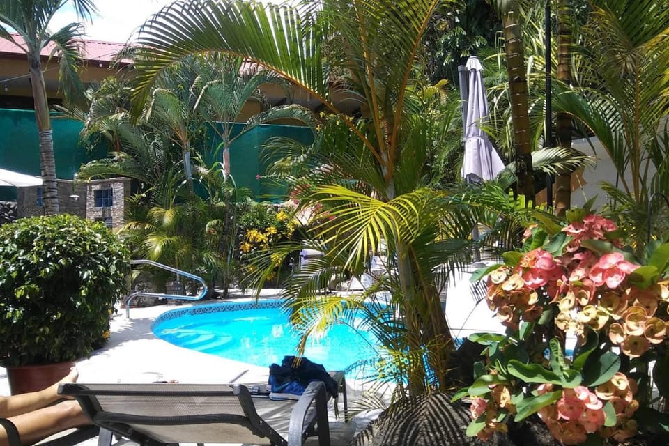 Swimming pool, Breakfast