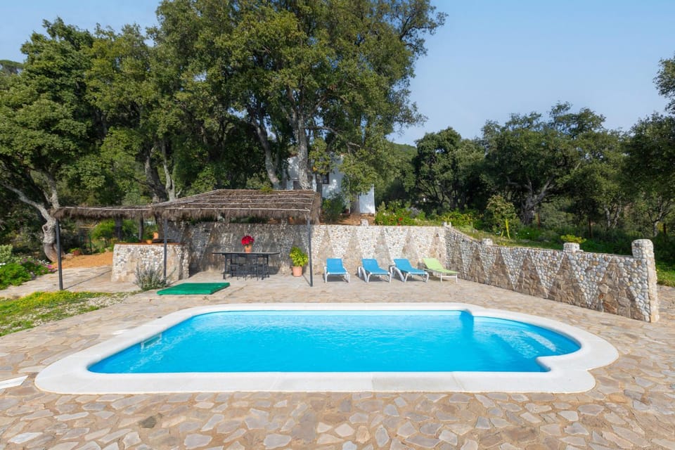 Natural landscape, Swimming pool, sunbed