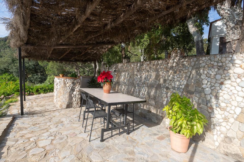 Patio, Garden