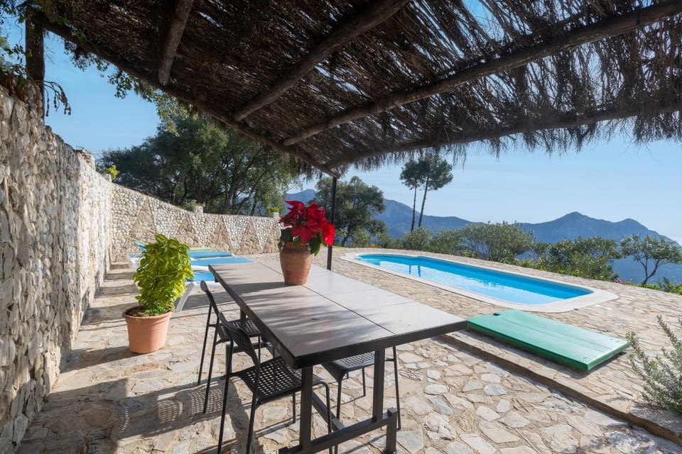Natural landscape, Swimming pool, sunbed