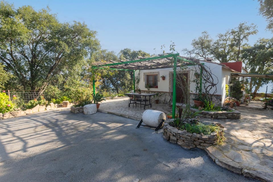Property building, Garden
