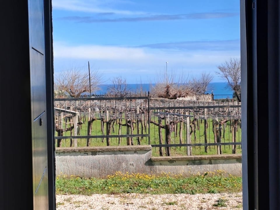 Appartamentino1 Collina Costa Dei Trabocchi Apartment in Abruzzo