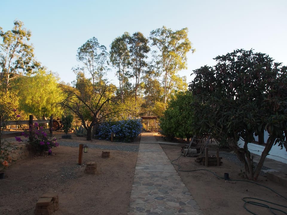 Off site, Summer, Area and facilities, Sunset