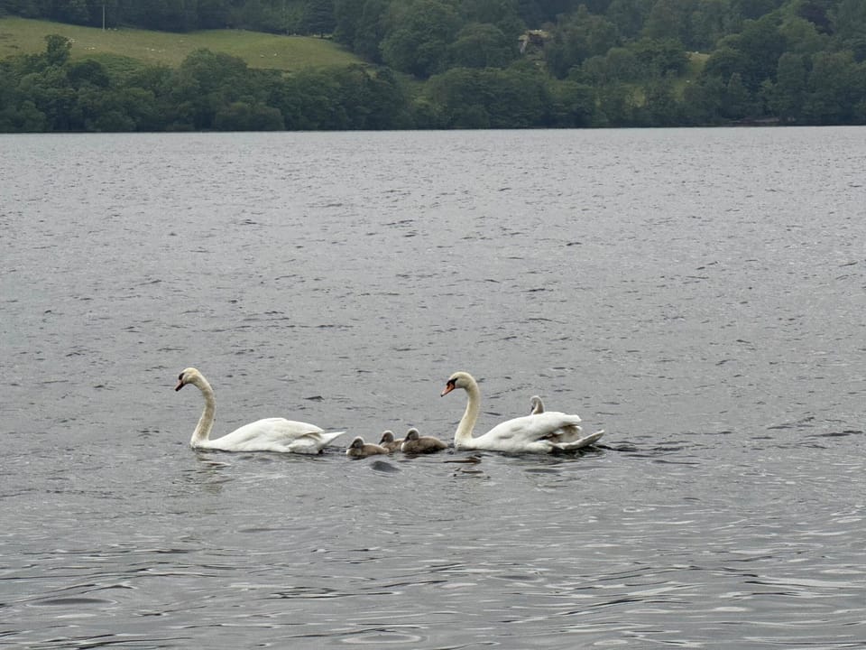 Lindisfarne Cottage in Windermere Apartment in Windermere