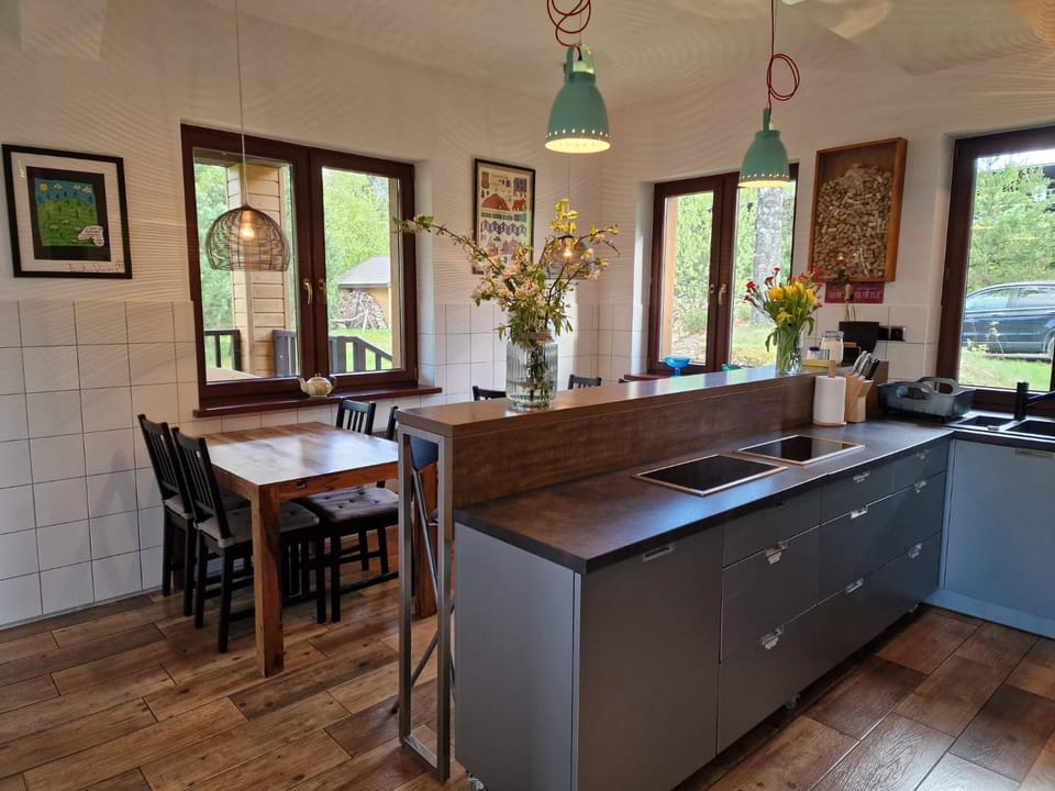 Kitchen or kitchenette, Dining area, stove