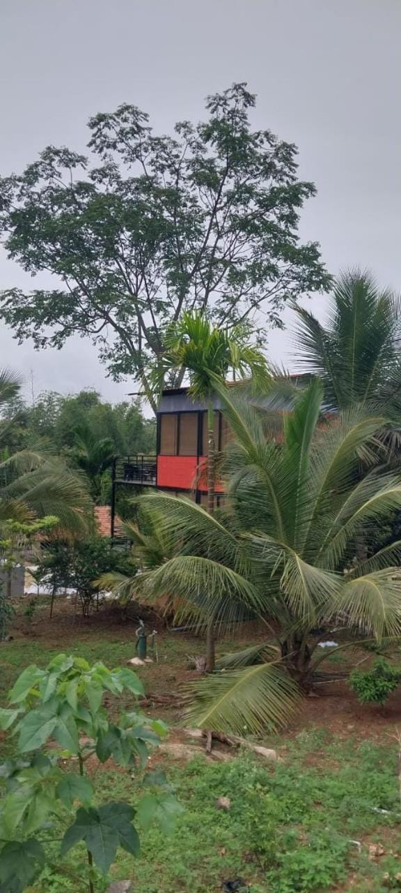 GandhadaGudi Nature Retreat Farm Stay in Tamil Nadu