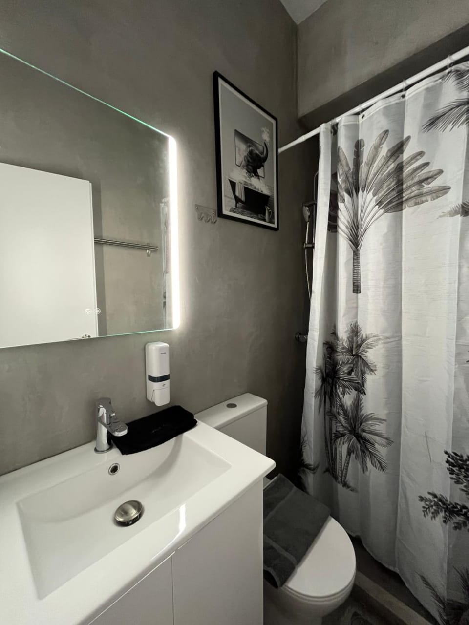 Shower, Toilet