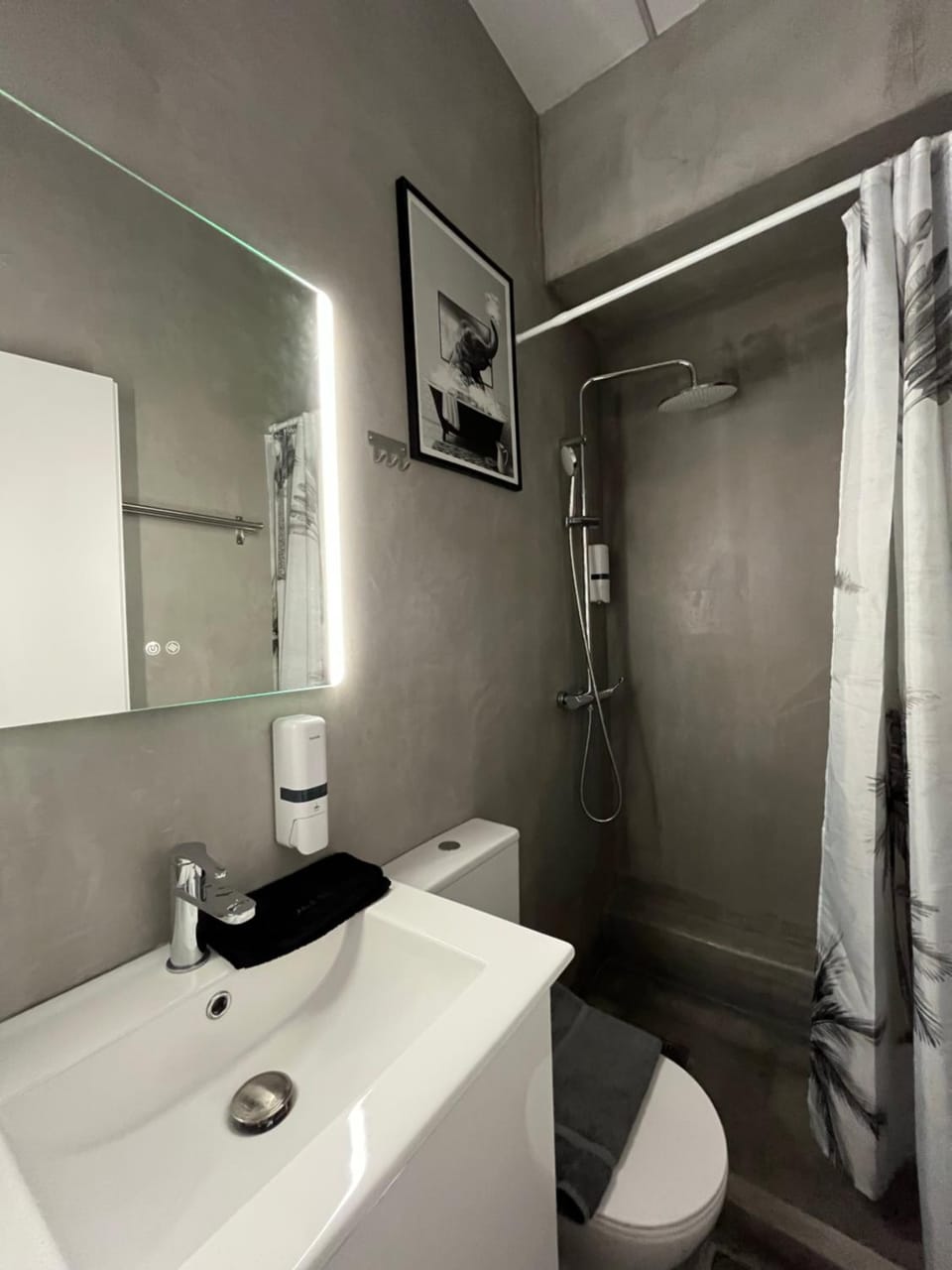 Shower, Toilet