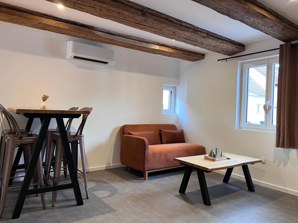 Appartement 1769 Apartment in Grand Est