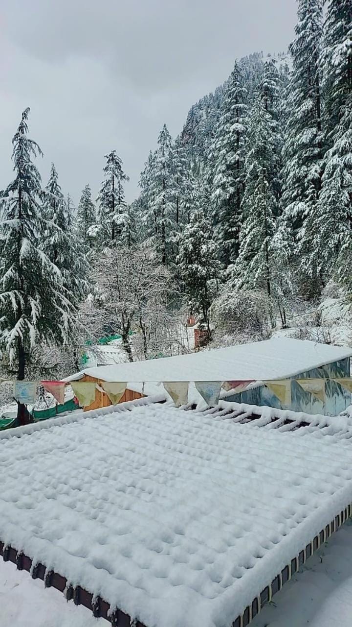 Natural landscape, Winter