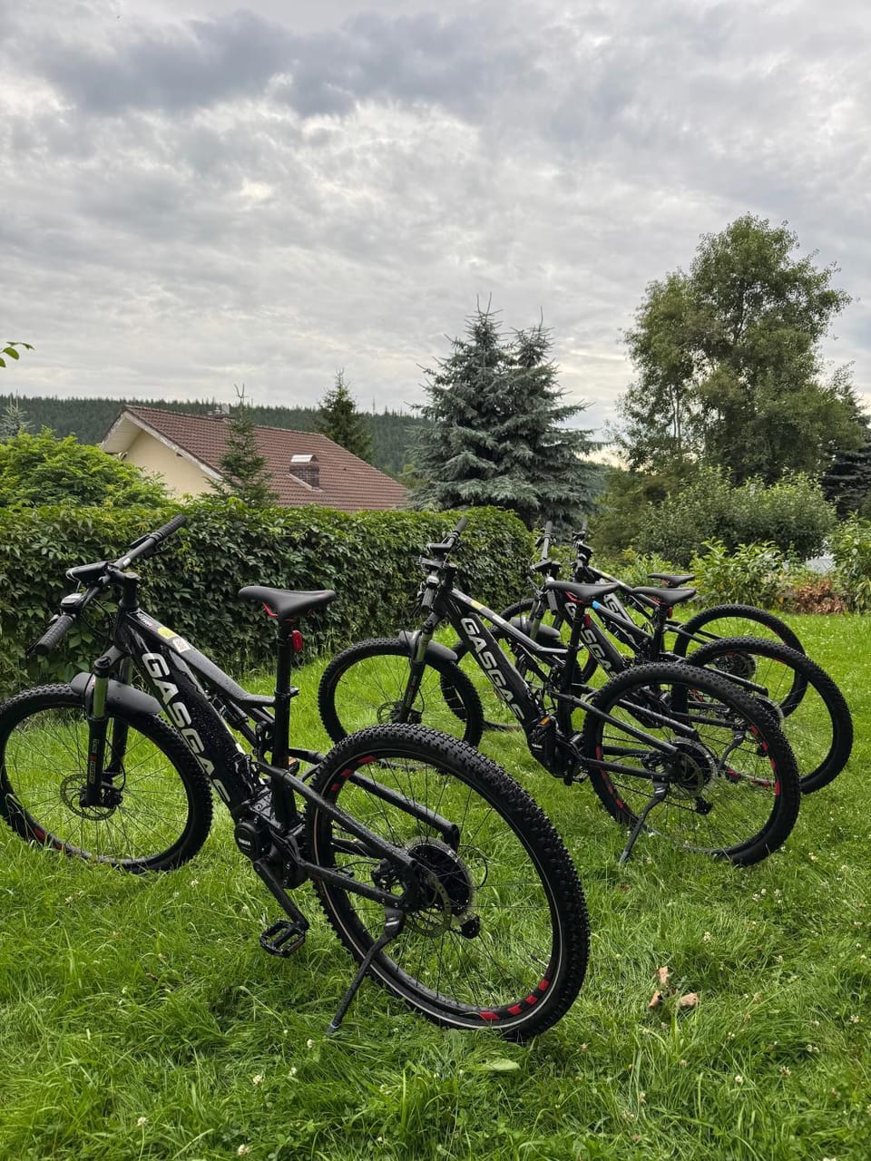 Apartament Larice VIP - sauna, balia, basen - całe piętro na wyłączność Apartment in Lower Silesian Voivodeship